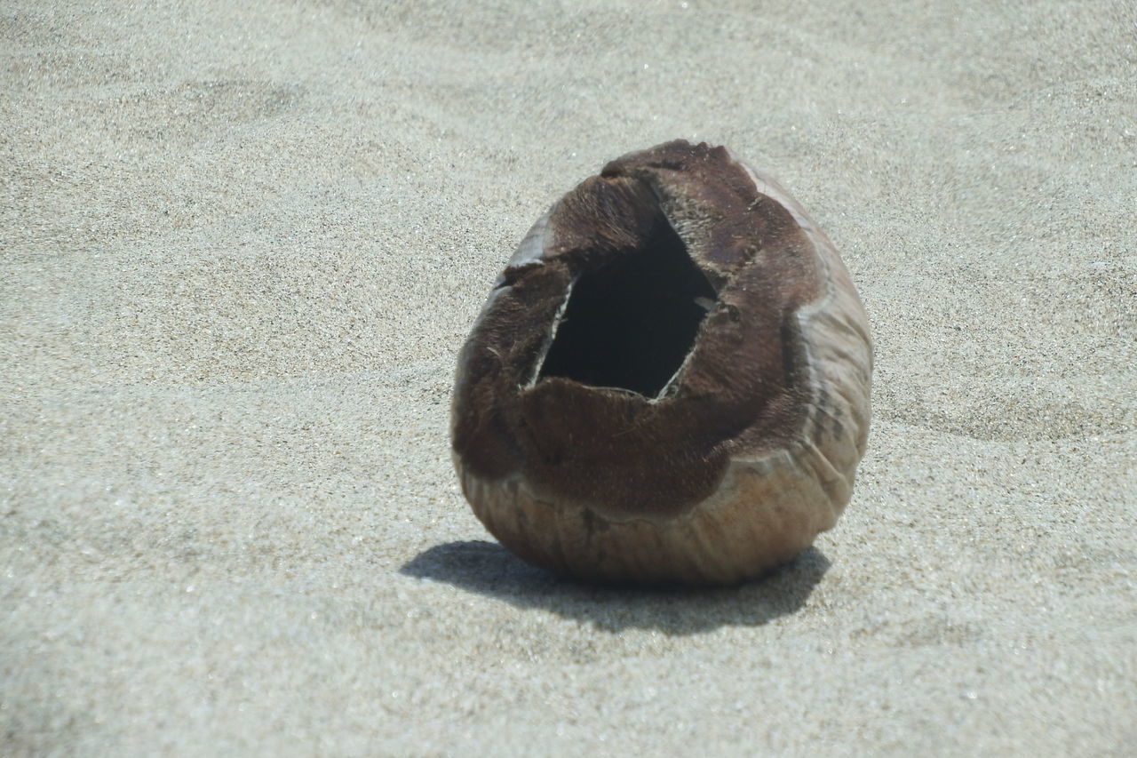 HIGH ANGLE VIEW OF CRAB ON BEACH