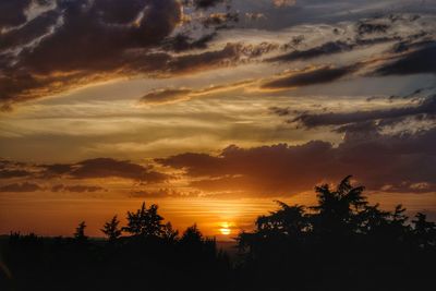 Silhouette trees against sky during sunset