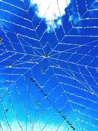 Close-up of spider web against blue sky