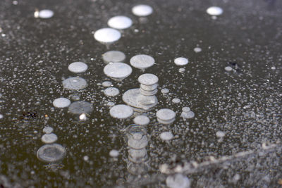 High angle view of raindrops on rainy day