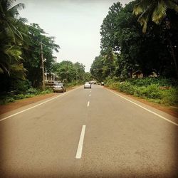 Road passing through forest