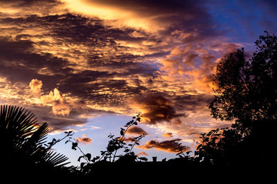 Silhouette trees against dramatic sky during sunset