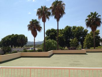 Palm trees by swimming pool against sky