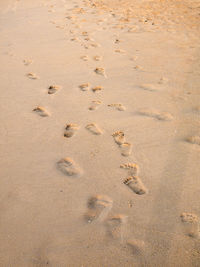 High angle view of footprints on sand at beach