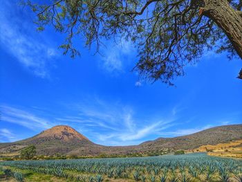 Scenic view of mountains against blue sky