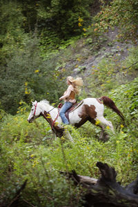 Side view of woman riding on horse