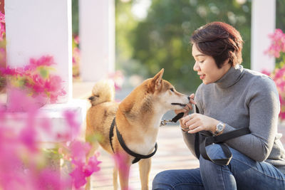 Pet lover concept. an asian girl is playing with a shiba inu dog. woman and dog hugging