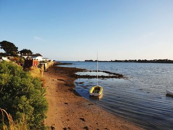 Scenic view of beach against clear sky