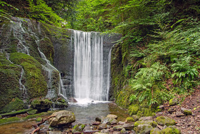 Scenic view of waterfall in forest