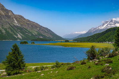 Upper engadine, lake sils, and the village of isola, photographed from above in summer.
