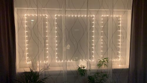 Plants in illuminated room at home