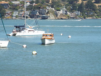 Sailboats sailing in sea