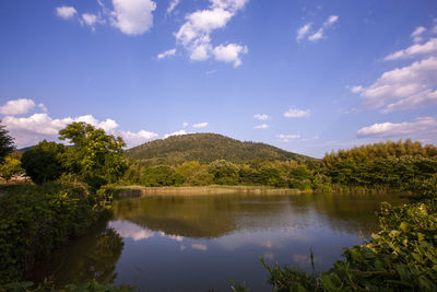Scenic view of lake by trees against sky