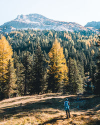 Rear view of man walking on street amidst trees