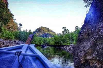 Scenic view of river in forest against sky