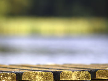 Close-up of wood on field