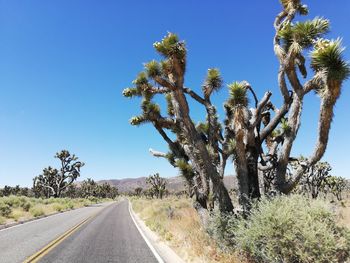 Trees by road against clear blue sky