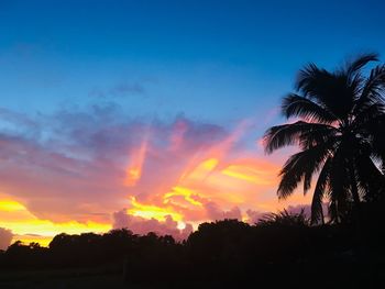 Low angle view of silhouette trees against sky during sunset