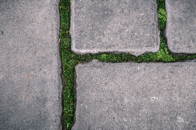 High angle view of stone wall