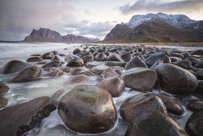 Rocks and water in vareid beach in lofoten