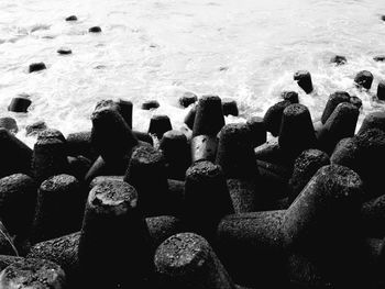 Group of people on beach