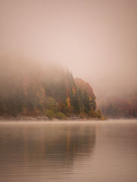 Scenic view of lake in forest against sky