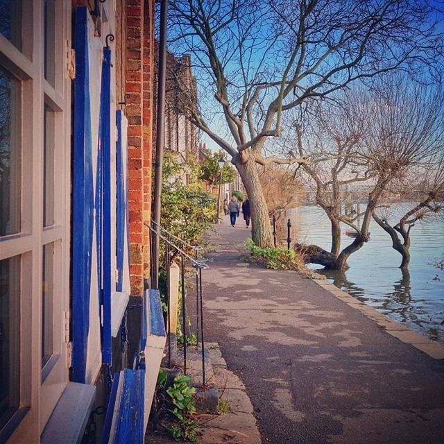 the way forward, built structure, tree, architecture, transportation, building exterior, water, bare tree, narrow, walkway, railing, diminishing perspective, sky, footpath, shadow, sunlight, branch, outdoors, street, vanishing point