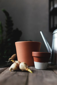 Ceramic pots on an old gray wooden table, tulip bulbs, watering can. high quality photo