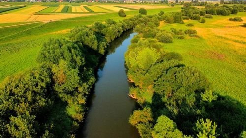 High angle view of agricultural field