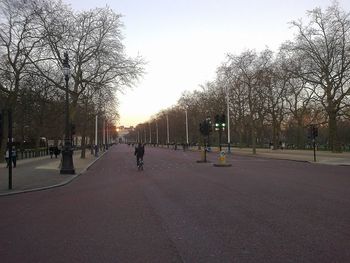 View of trees along road