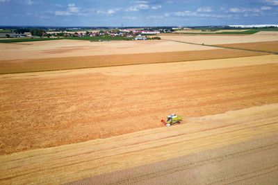 Harvester combine working in the field