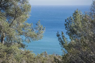 High angle view of trees by sea against sky