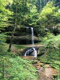 Waterfall in forest