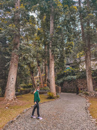 Rear view of boy on walkway midst trees