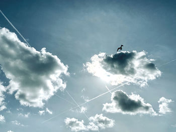 Low angle view of bird flying against sky