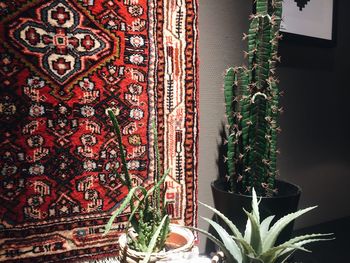 Close-up of potted plants at home