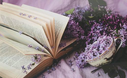 High angle view of purple flower on table