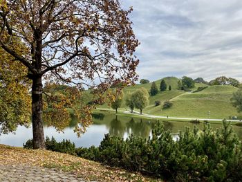 Scenic view of trees against sky during autumn