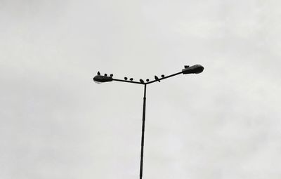 Low angle view of bird perching on pole against sky