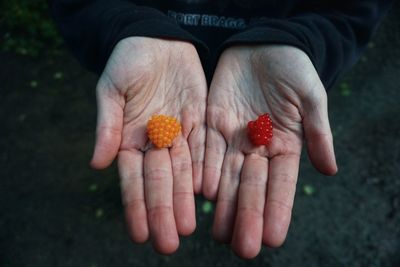 High angle view of hand holding fruits