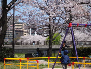 Full length of man standing by cherry tree in playground