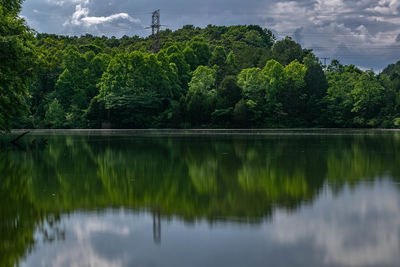 Scenic view of lake by trees against sky