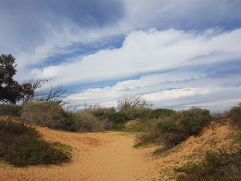 Scenic view of landscape against sky