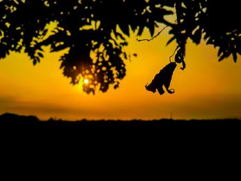 Silhouette of tree against sky during sunset