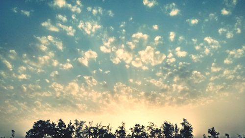 Low angle view of trees against cloudy sky