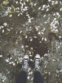 Low section of person standing on wet ground by fallen flowers