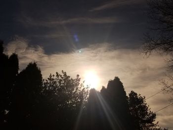 Low angle view of silhouette trees against sky