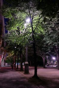 Illuminated street light at night