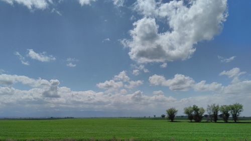 Scenic view of field against sky