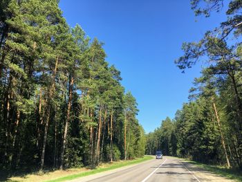 Road amidst trees against sky